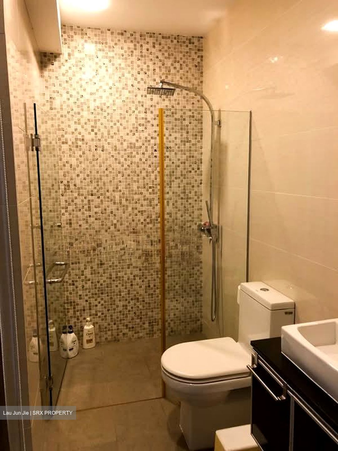 Loft @ Stevens (D10), Apartment #604306241